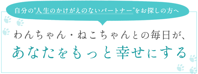 自分の人生のかけがえのないパートナーをお探しの方へわんちゃん・ねこちゃんとの毎日が、あなたをもっと幸せにする!